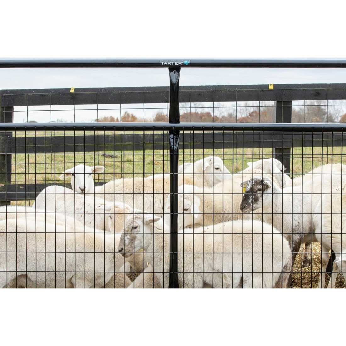 Tarter 10 ft. 2 x 4 Wire Filled Gate WFGBL10