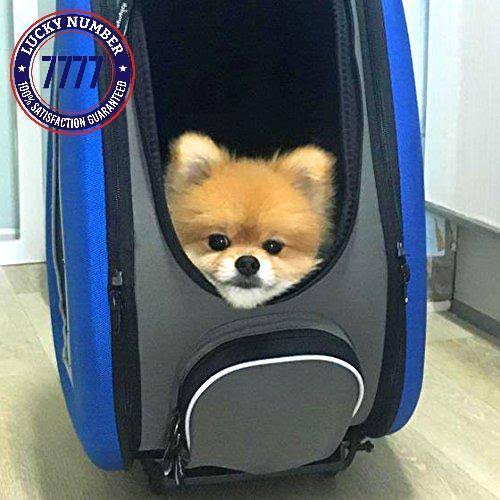 Ibiyaya 5 in 1 Pet Carrier + Backpack + Carseat + Pet Carrier Stroller + Carriers with Wheels for Dogs and Cats All in One (Blue