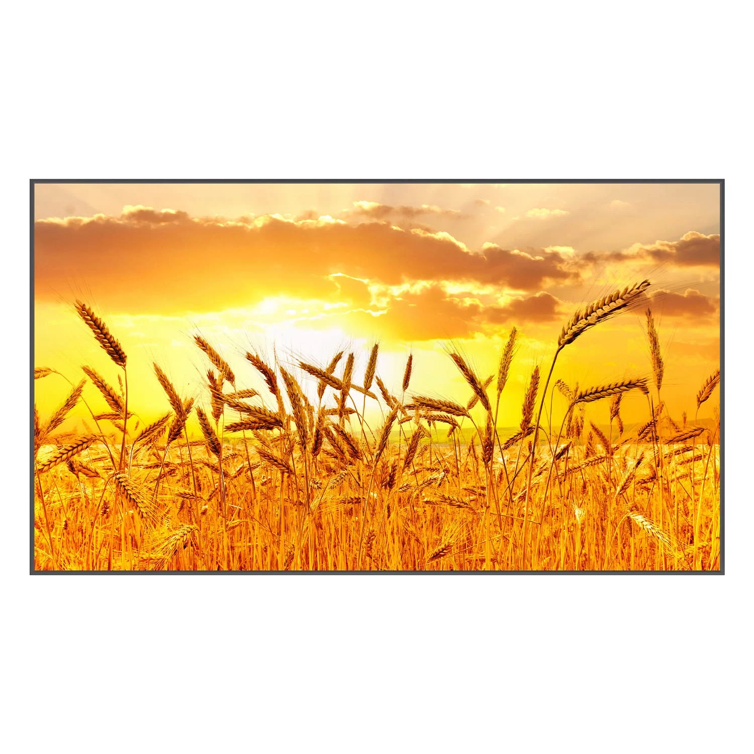 KUVASONG 43" Sun Readable Smart Outdoor TV for Outdoor Covered Area, 43" High Brightness Smart Outdoor Television