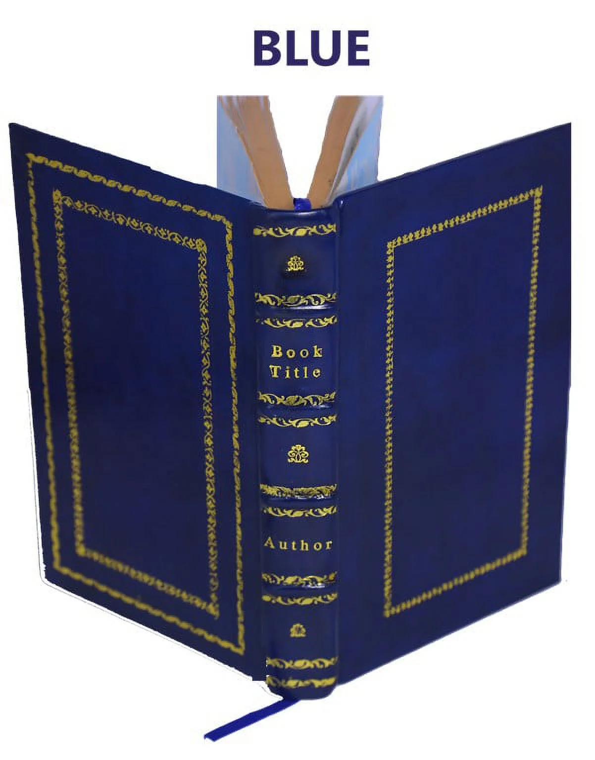 The Thirteen Books Of Euclid's Elements Volume 1 1908 [Premium Leather Bound]