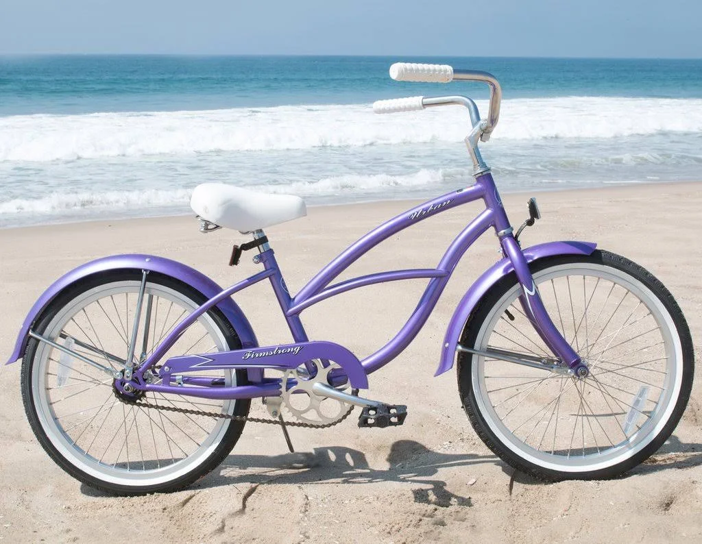 Firmstrong Bella Classic Girl&s Single Speed Cruiser Bicycle 20-inch Purple