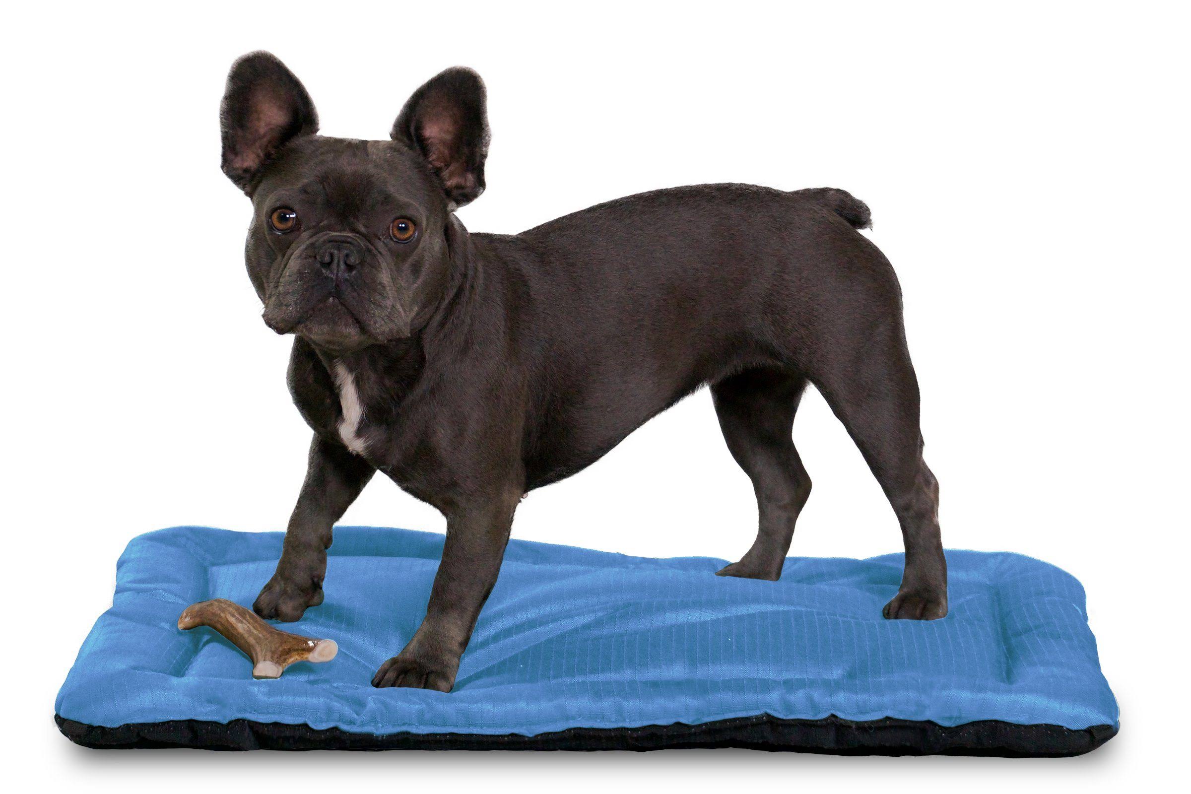 Tough Crate Pad | K9 Ballistics | Chew Resistant and More, Blue / X-Large (47x22x29x22)