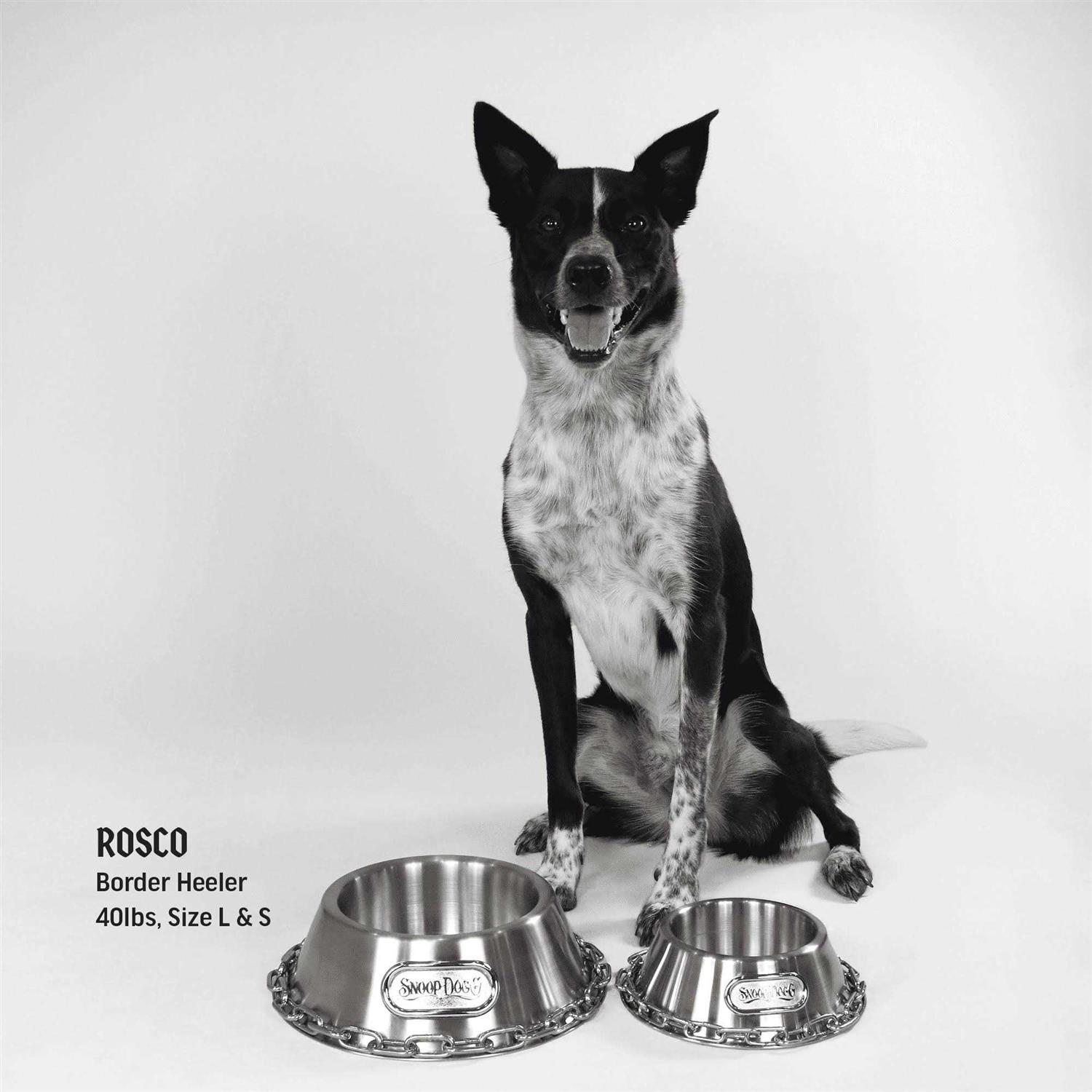 Snoop Doggie Doggs Off The Chain Bowl - Pet Supplies online store