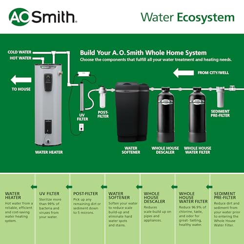 AO Smith Whole House Filter Systems