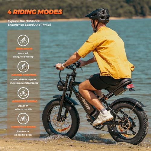 Electric Bike for Adults - K6 20 x 4 Inch Fat Tire, 750W/Peak 1500W Motor, 48V15AH Detachable Battery, 4 Riding Modes Electric Dirt Bike, 7 Speed Electric Motorcycle,20MPH UL 2849 Certified