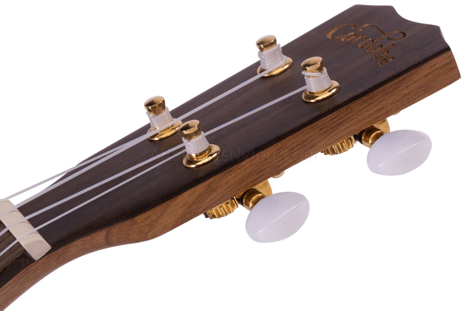 Cordoba 25CK Concert Ukulele