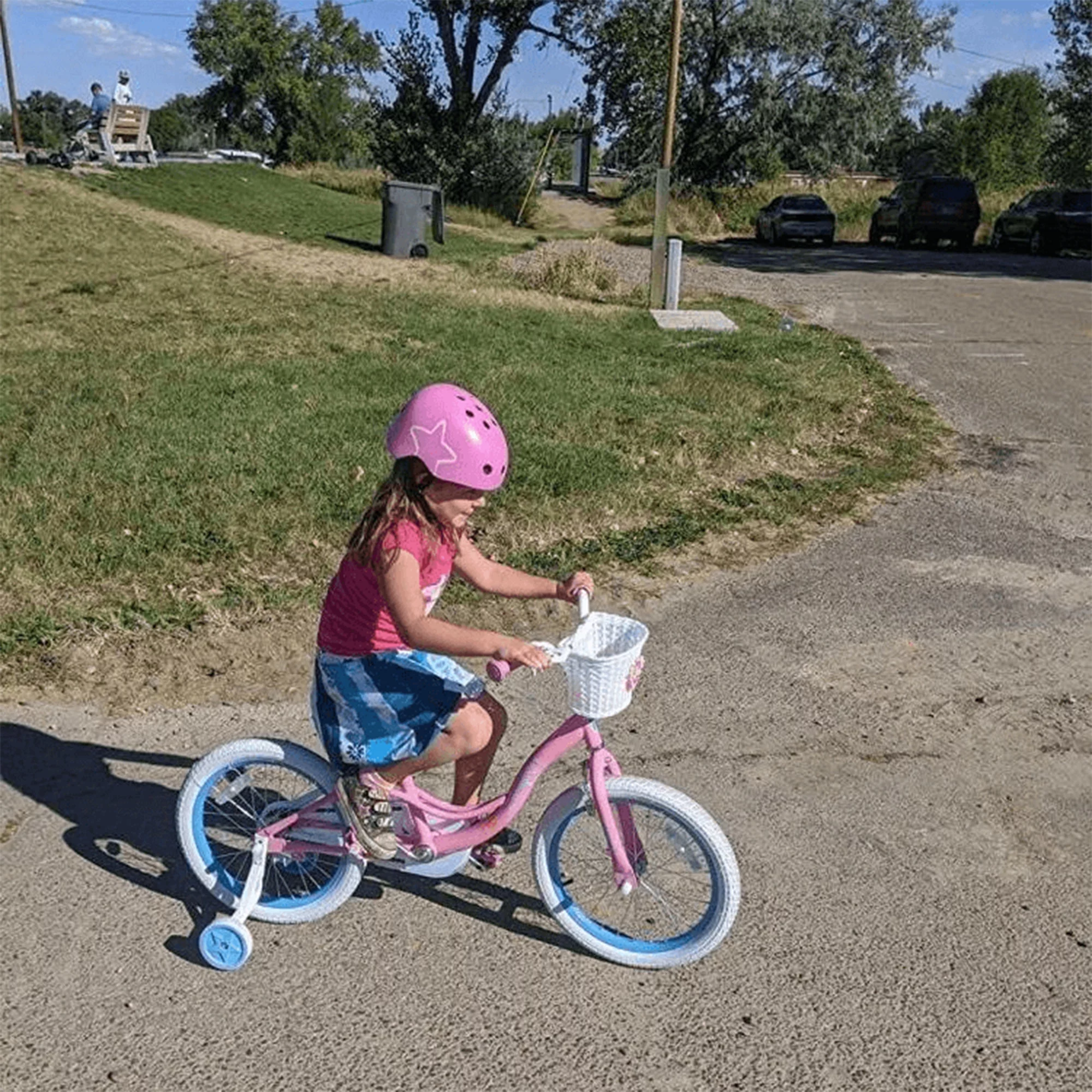 Joystar Fairy 16in Toddler Bicycle w/ Training Wheels, Girls Ages 4 to 7