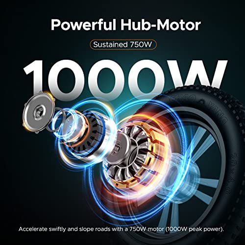 ENGWE 1000W Electric Bike for Adults | M20 20" * 4.0" Moped Style Ebike with 48V 26Ah/13Ah | 94/47Miles Range | 28MPH Top Speed | All-Terrain Full Suspension Electric Bicycle with 7-Speed