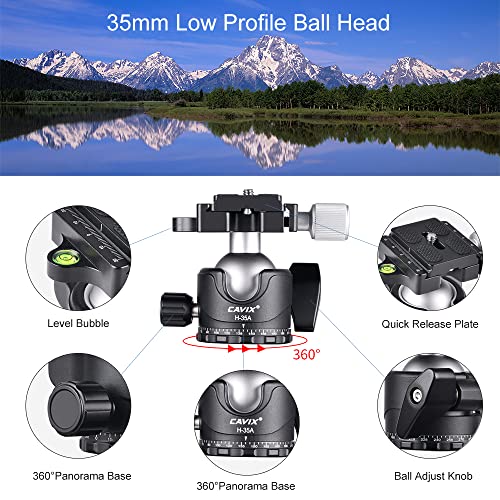 Carbon Fiber Tripod,Lightweight Portable Travel Tripod with Low Profile Ball Head with 1/4" Quick Release Plate Compatible with Camera Max Load 22lbs…