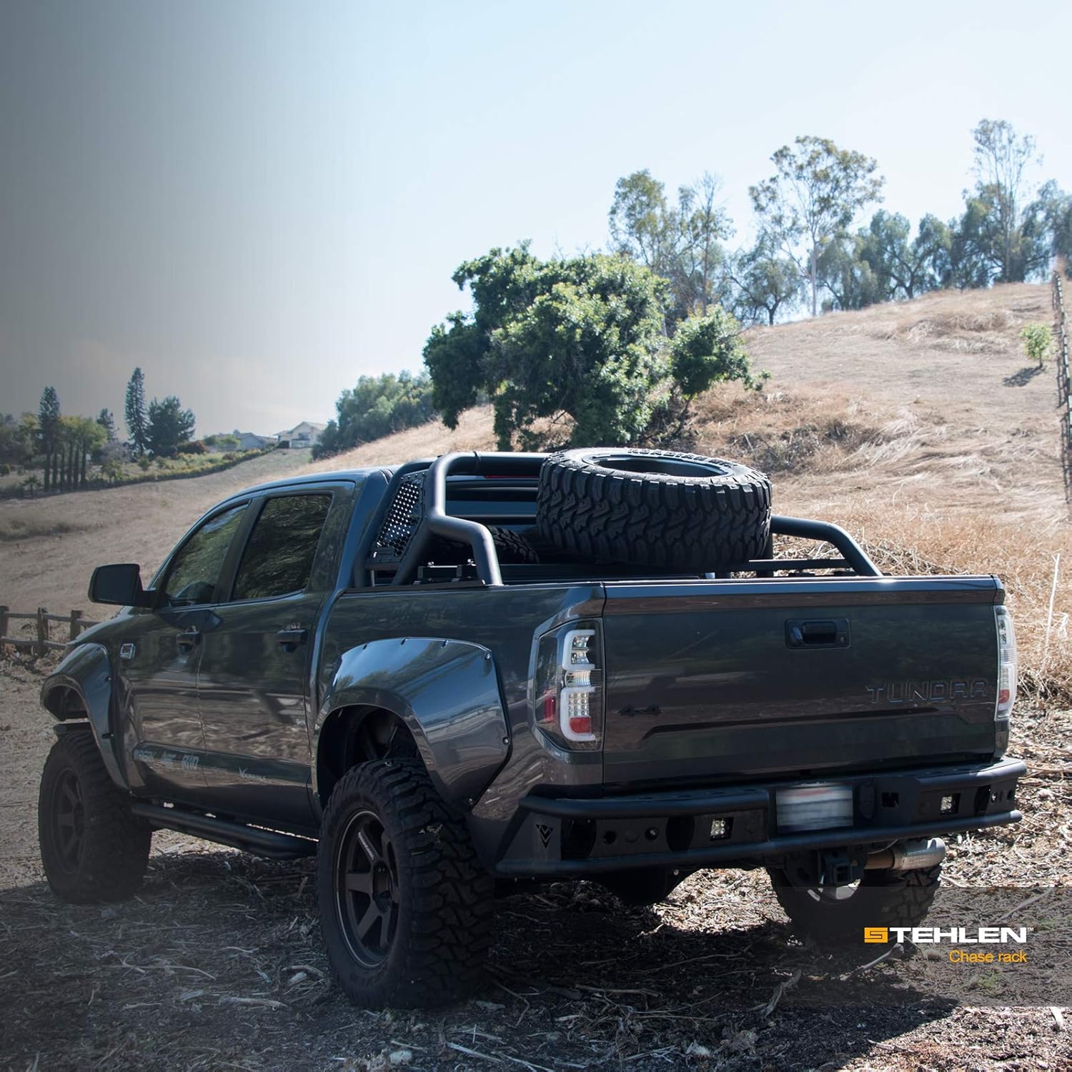 Armordillo 642167818793 For Full Size Trucks CR1 Chase Rack Truck Bed Roll Bar with Tire Carrier - Matte Black