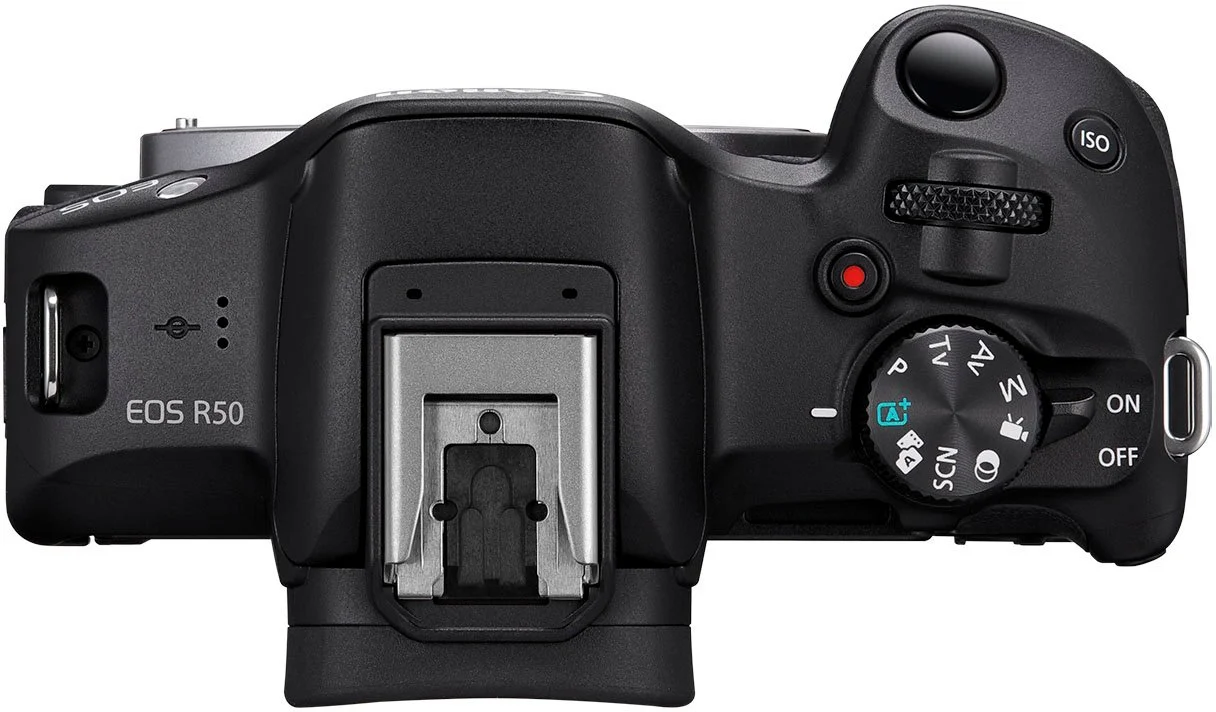 Canon EOS R50 Mirrorless Camera with 18-45mm, EF 75-300mm & 420-800mm Lenses + Mount Adapter + 20 Essential Accessories for Content Creators