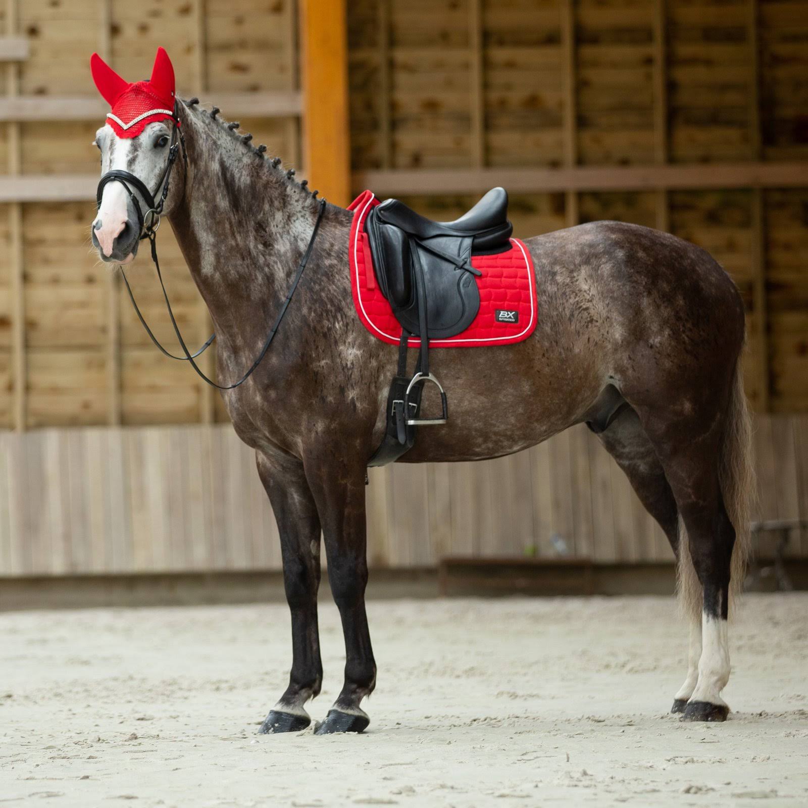 B Vertigo BVX Dressage Technical Saddle Pad-Asphalt Dark Grey