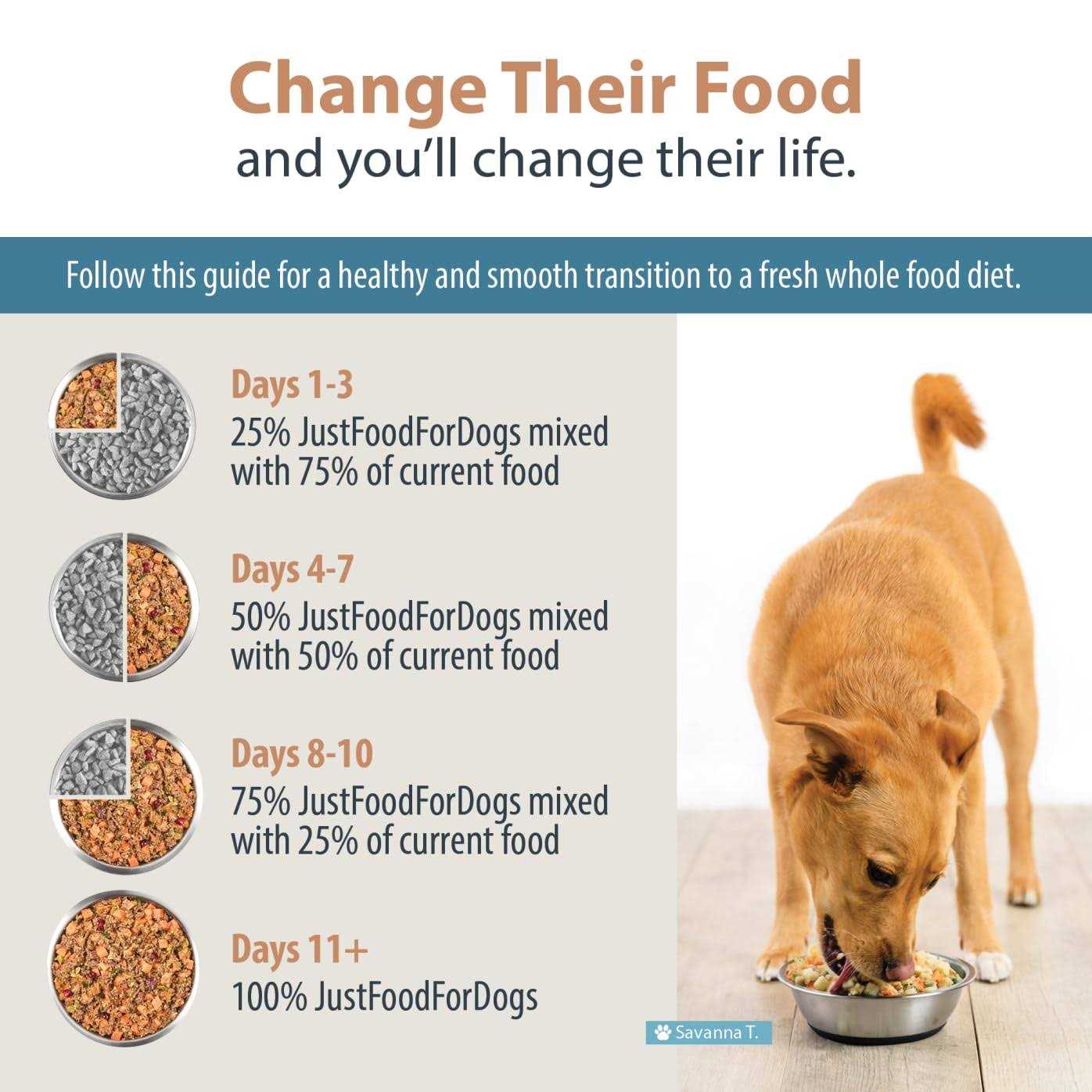JustFoodForDogs Diets Balanced Remedy Frozen Dog Food - Pet Supplies online store