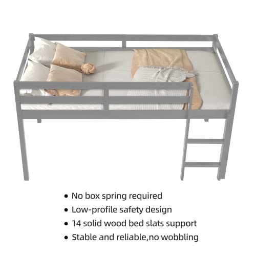 Loft Bed Twin,Loft Bed for Kids with Ladders and Guard Rails,Solid Wood and Sturdy Low Loft Bed Frame for Boys Girls and Junior,No Box Spring Needed,Easy to Assembly,Twin(Grey)
