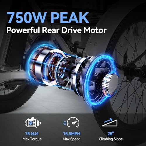 Vivi T01 20" x2.6 Fat Tire Electric Tricycle for Adults, 750W Peak 20'' Folding 3 Wheels Electric Bike, 95% Pre-Assembled, Speed Differential, 15.5MPH Eletric Trike with Bracket