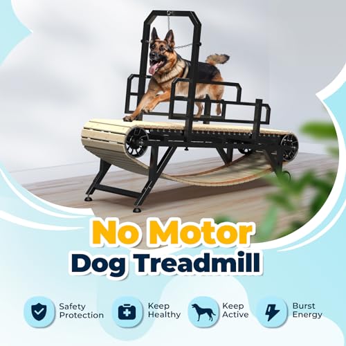 75 Large Dog Treadmill for Dogs, 4 Level Adjustable Ramp Canine Slat Mill for Dog, Easy to Move Doggy Treadmill for Indoor & Outdoor, Up to 440LBS
