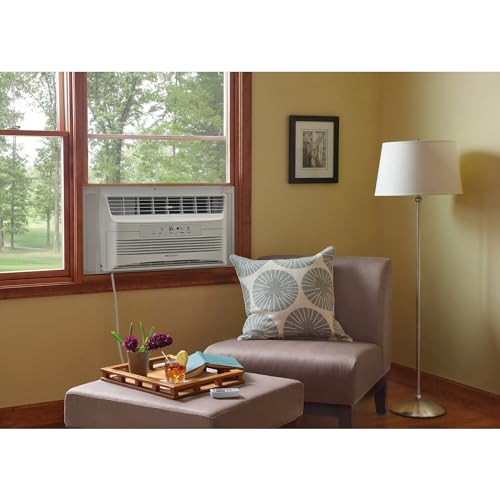 Frigidaire FHWC124WB1 Window Air Conditioner