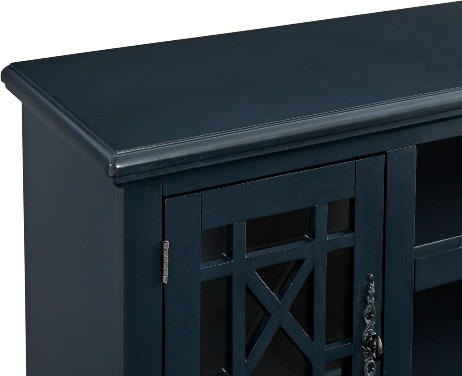 Martin Svensson Home Elegant Catalina Blue 2 Door 63" TV Stand