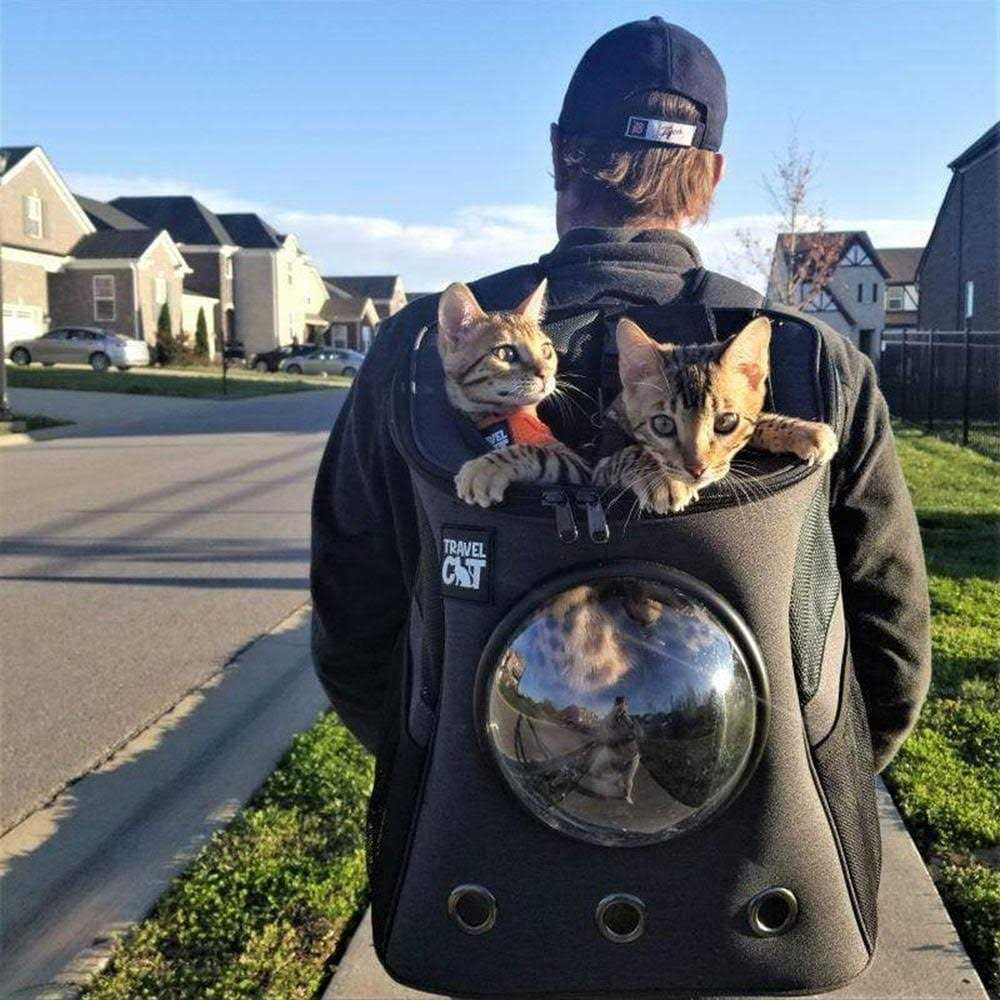 The Fat Cat Cat Backpack - Pet Supplies online store