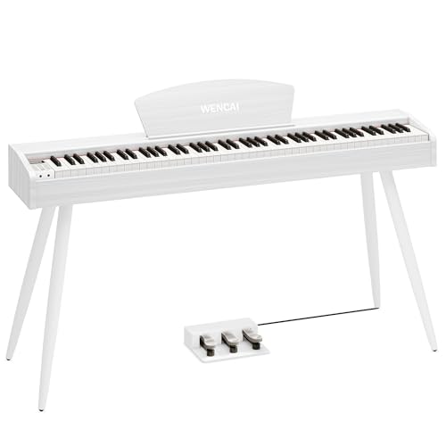 88 Key Fully Weighted Electric Piano Keyboard Hammer Action Full-size Digital Pianos for Beginners Adults Wooden Upright Piano with Sheet Music Stand Triple Pedal, Supports USB-MIDI Black