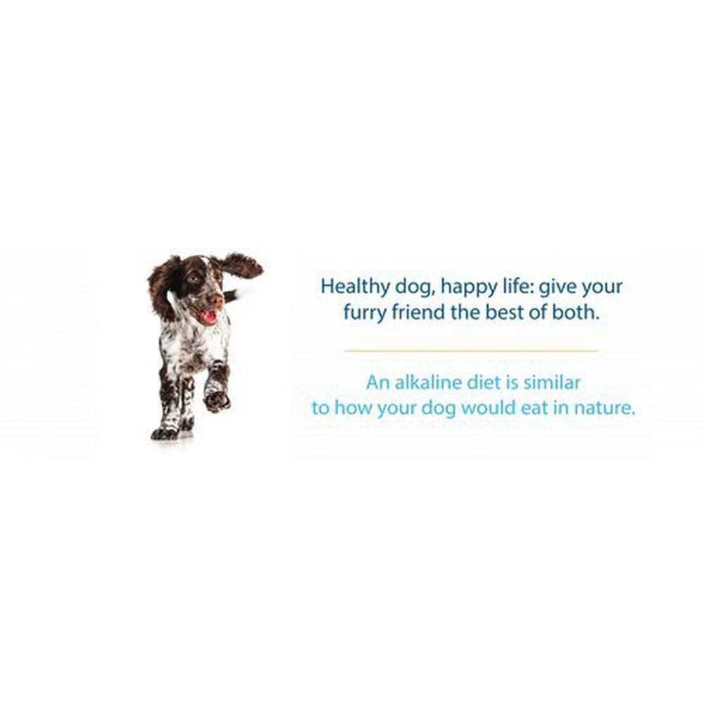 Canine Caviar Open Range Limited Ingredient Alkaline Entree All Life Stages Dry Dog Food - Pet Supplies online store