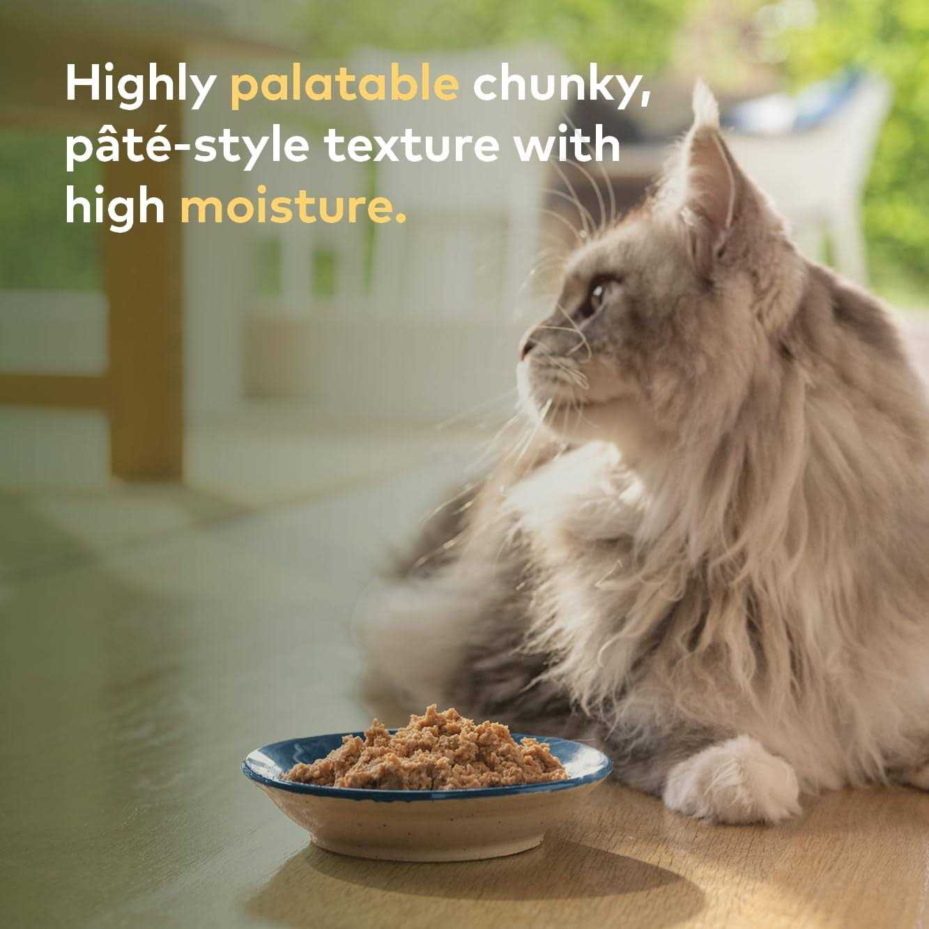 Ziwi Peak Venison Recipe Canned Cat Food 6.5-oz Case of 12 - Pet Supplies online store