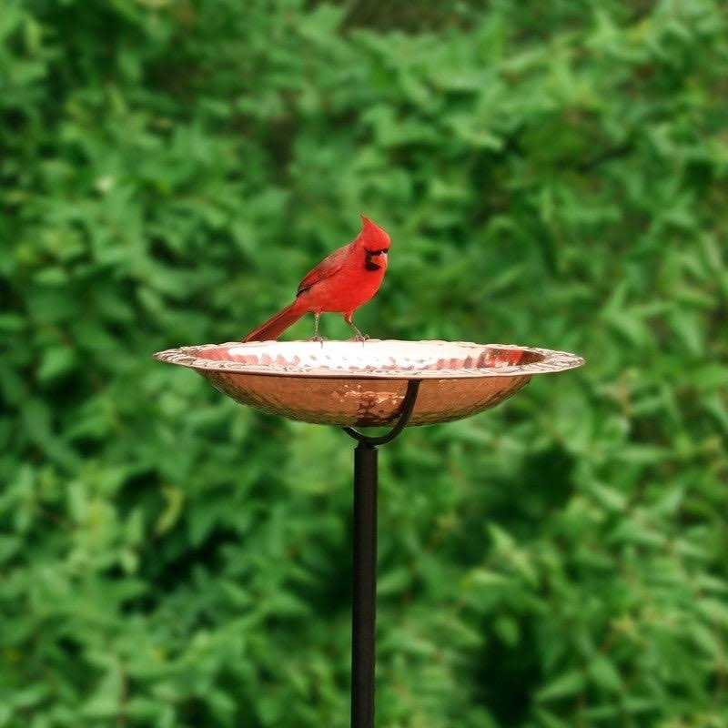 Good Directions Pure Copper Bird Bath on Garden Pole
