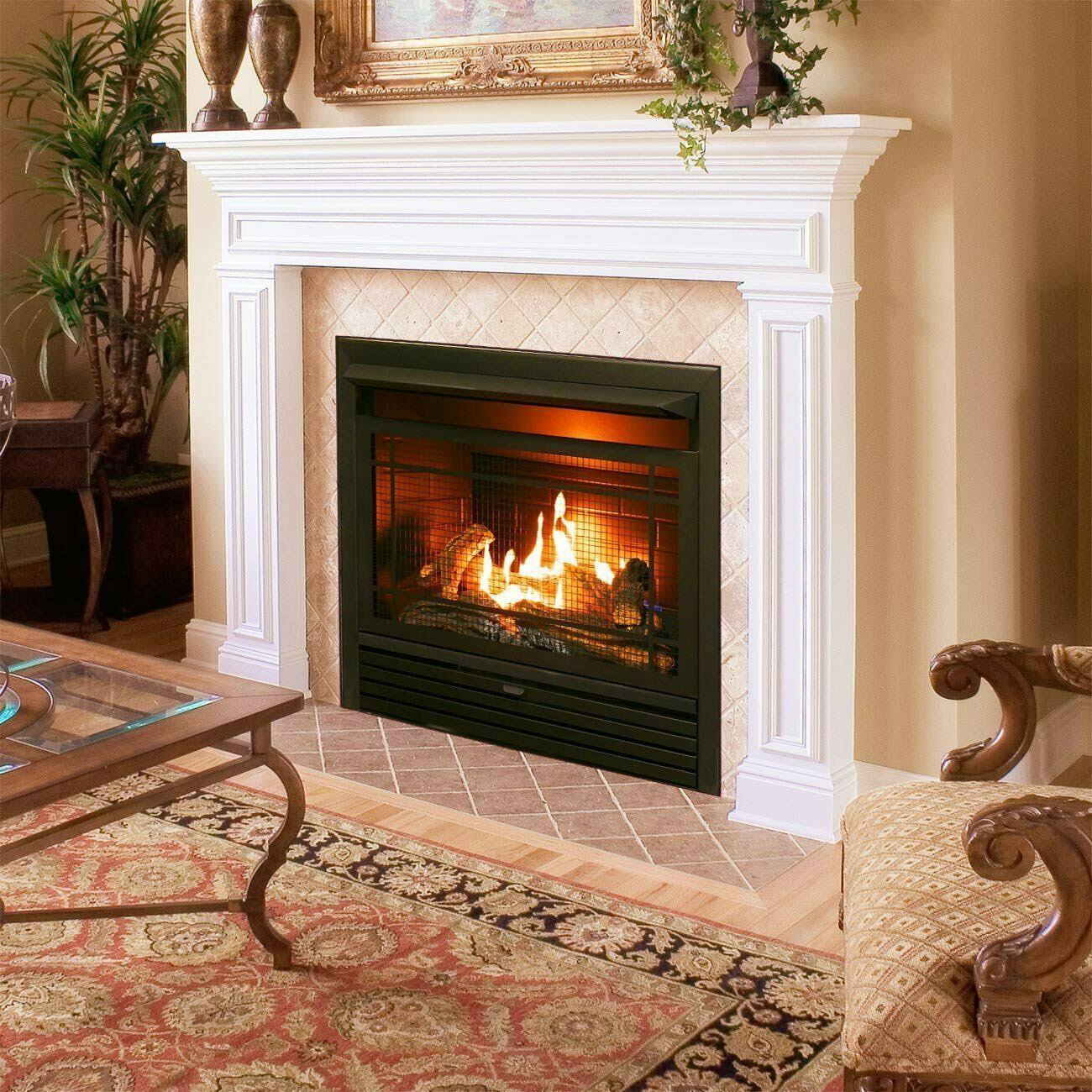 Duluth Forge Dual Fuel Ventless GAS Fireplace Insert - 26,000 BTU, Remote Control FDF300R
