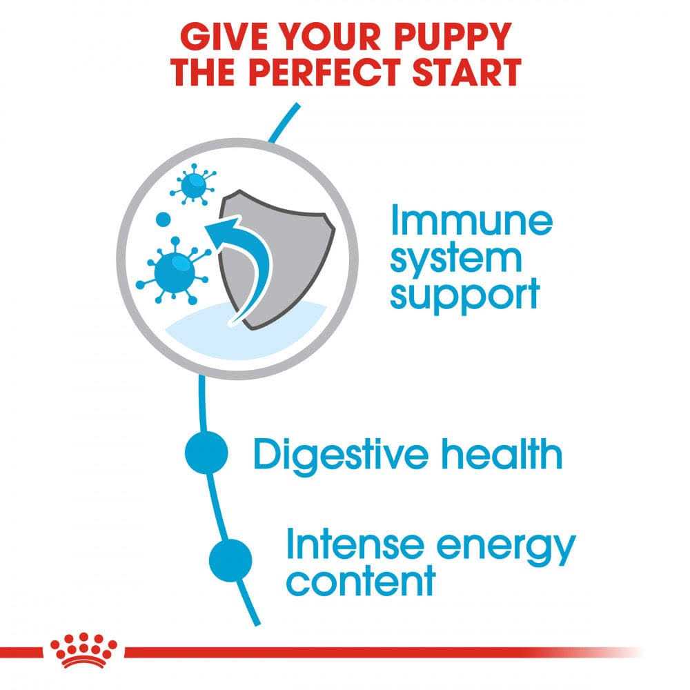 Royal Canin Size Health Nutrition Small Puppy Dry Dog Food - Pet Supplies online store