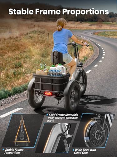 Electric Trike for Adult with 750W Motor, 48V 18AH Cells Battery, Pickup Class 500 LB Load Electric Tricycle with 20" Fat Tire and Large Basket, 60 Miles Range, for City and Mountain Road