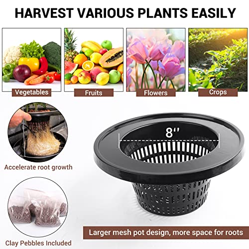 RDWC Top Feed Drip Hydroponics Systems, Recirculating Deep Water Culture Hydroponic Bucket System, 5 Gallon Hydroponics Growing System Kit with Water Pump, Air Pump(4 Bucket + Reservoir + Drip Kit)
