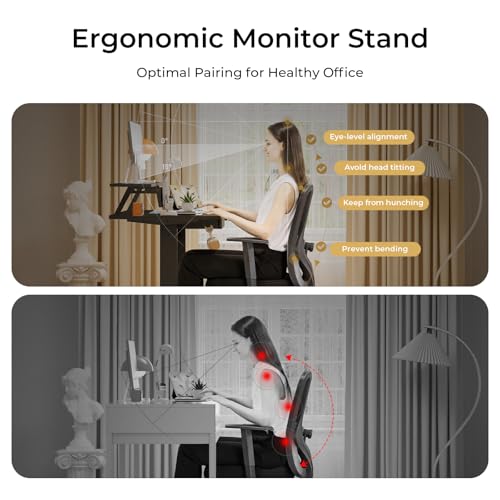 COMHOMA Electric Standing Desk with Drawers, 48 x 24'' Sit Stand up Desk with Monitor Stand, Laptop Stand, Height Adjustable Ergonomic Home Office Computer Desk with Memory Preset Controller (Black)