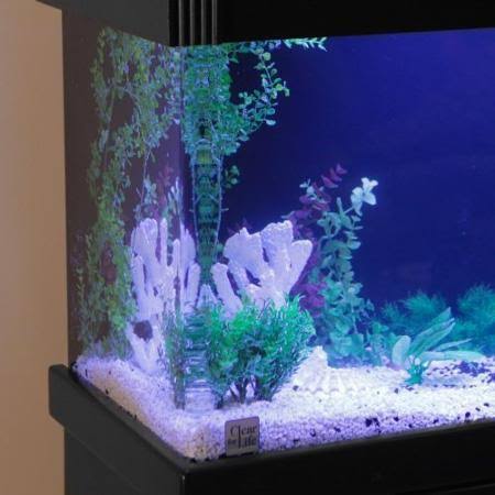 UniQuarium Rectangular Aquarium - 20R-SAPPHIRE BLUE-AAT004-1