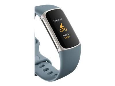 Fitbit Charge 5 Steel Blue/Platinum