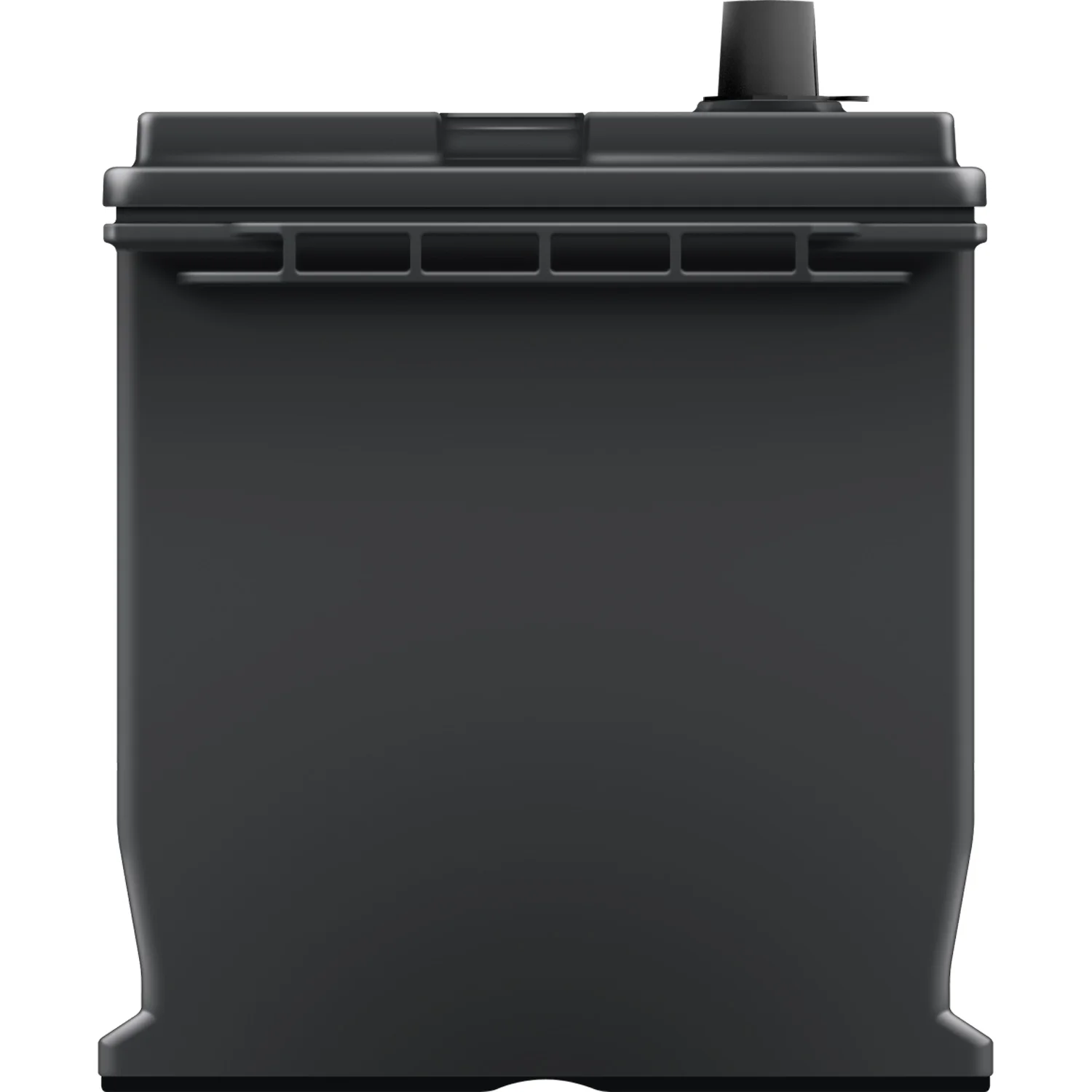 EverStart Maxx Lead Acid Automotive Battery, Group Size 124R 12 Volt, 700 CCA