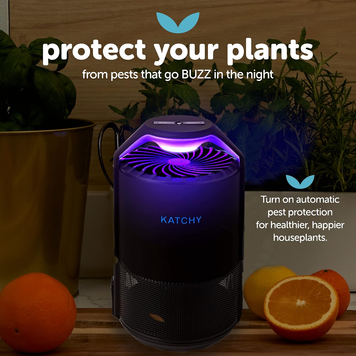 Katchy Automatic Indoor Insect and Flying Bugs Trap, Fruit Fly Gnat Mosquito Killer with UV Light Fan, Sticky Glue Boards, No Zapper, Light Sensor (Black) Pack of 2