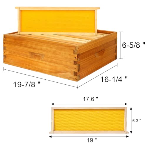 Bee Hive-10 Frame Beehive Starter Kit,Beeswax Coated Bee Hives for Bee Keeper,Beehive Include 1 Deep Bee Box and 1 Medium Bee Hive Box with Frame and Foundation(Unassembled)