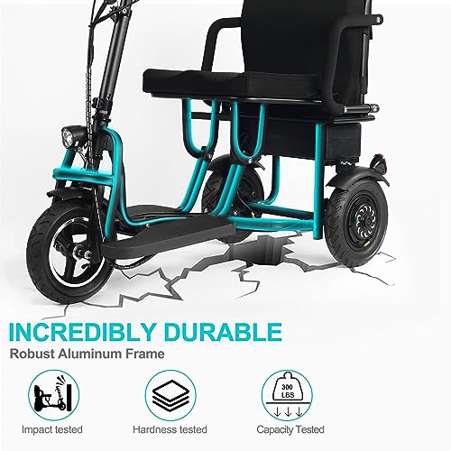 Folding Mobility Electric Scooter 48v 700w Dual Motor Lithium Battery 42 * 22 * 33(Inch) (Black)…