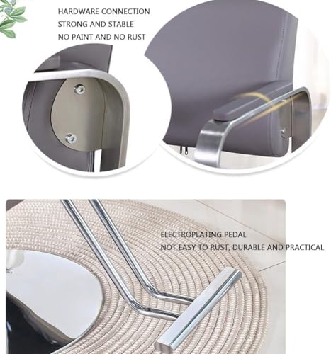 barber chair, Salon Chair for Hair Stylist Stylist Chair with Heavy Duty Hydraulic Pump, 360 Degrees Swivel Spa Beauty Equipment for Hair Stylist Women Man,Grey,A