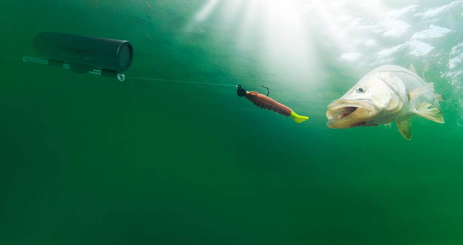 GoFish Cam Wireless Underwater Fishing Camera, Black