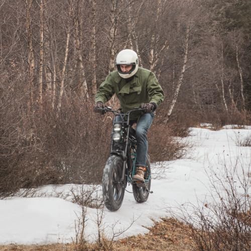 ENGWE 1000W Electric Bike for Adults | M20 20" * 4.0" Moped Style Ebike with 48V 26Ah/13Ah | 94/47Miles Range | 28MPH Top Speed | All-Terrain Full Suspension Electric Bicycle with 7-Speed