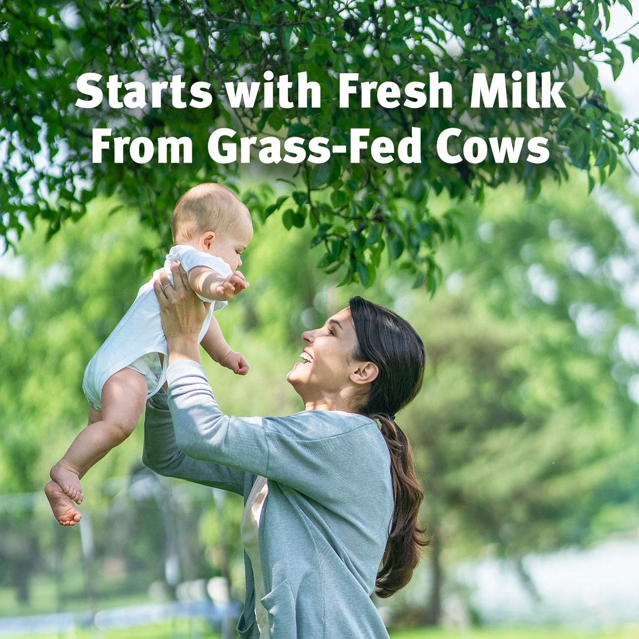 Similac Pure Bliss Infant Formula, Modeled After Breast Milk, Non-GMO, 24.7 Oz