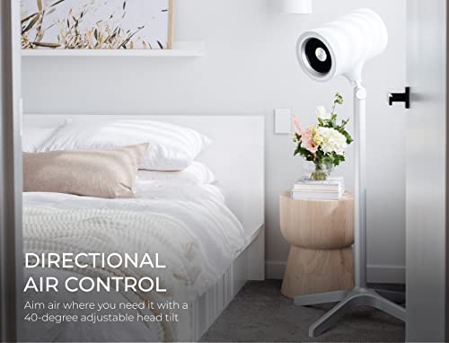 Everdure 49.4 Inch Indoor/Outdoor Pedestal Fan, 6 Speed Settings, Targeted Airflow Control, Oscillating Fan, Remote Control Included, Perfect Cooling Fan for Bedroom, Living Room, Home Office, Black