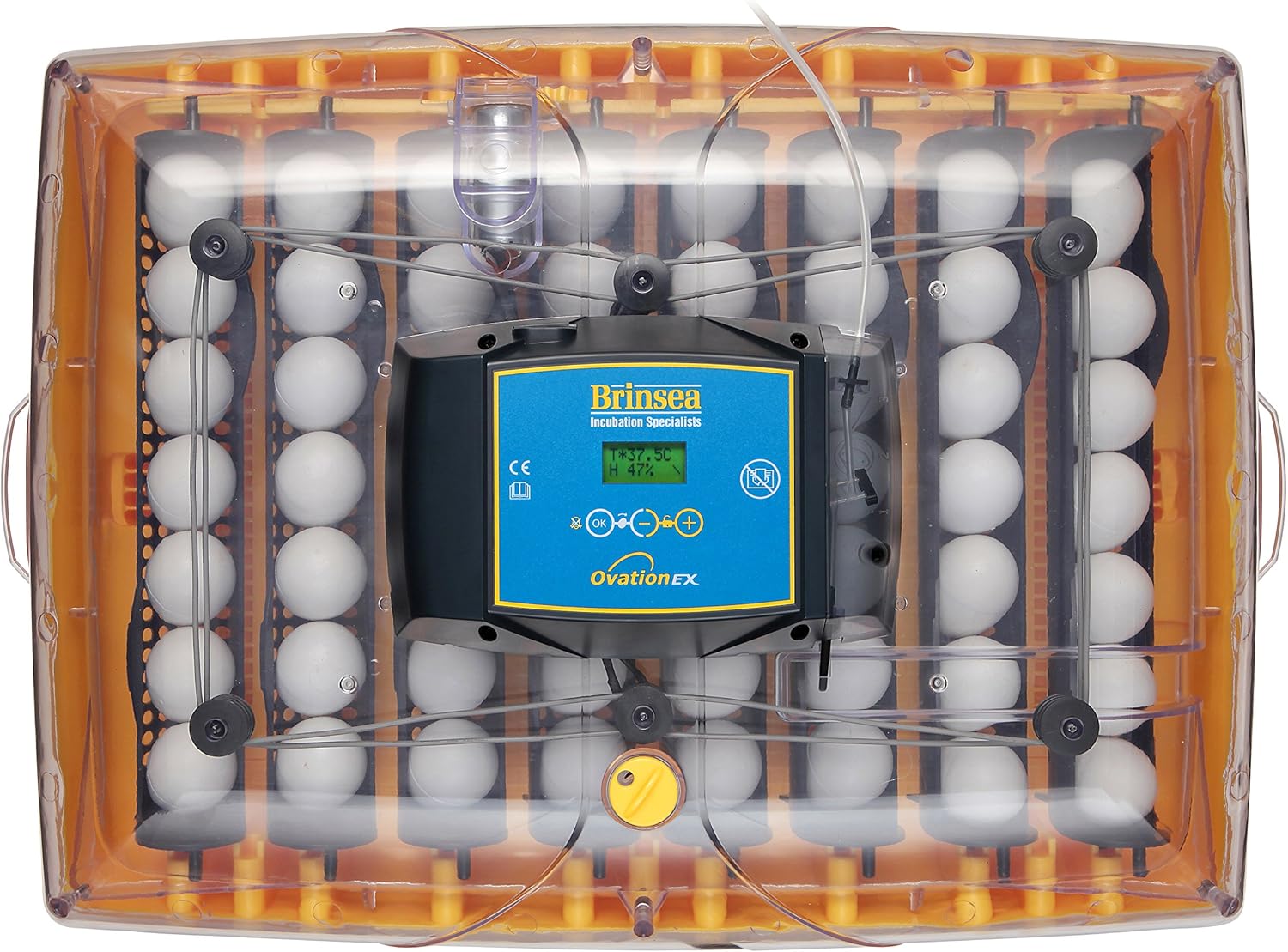 Brinsea Products USAG47C Ovation 56 EX Fully Automatic Egg Incubator with Humidity Control, One Size,Yellow/Black