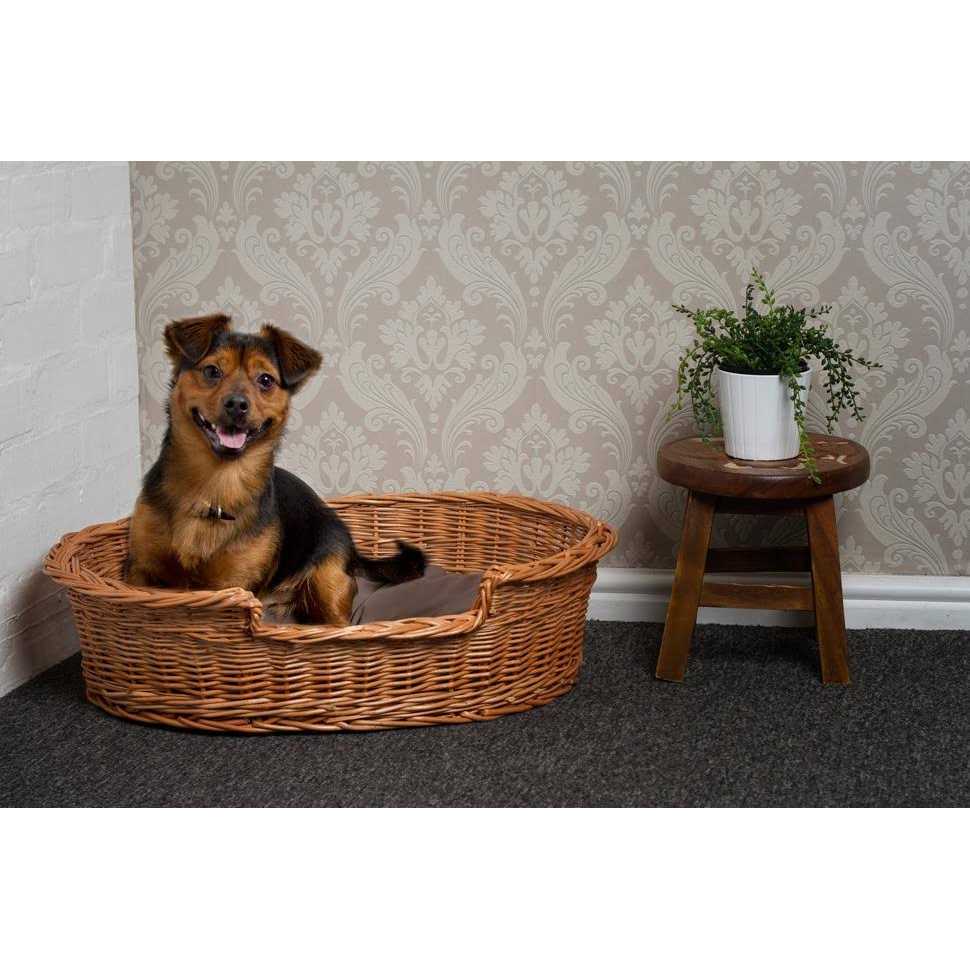 Prestige Wicker Dog Bed Basket - Pet Supplies online store