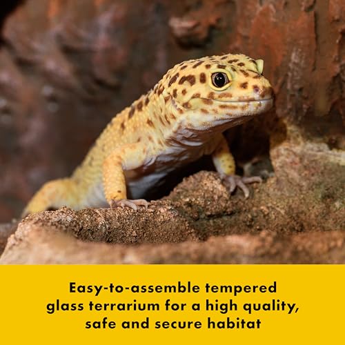 Zilla QuickBuild Terrarium, Sleek Glass Reptile Habitat, Easy Setup, Suitable for all Types of Reptile Pets, Whether Amphibians, Reptilians, Snakes, or Even Arachnids, 48"x18"x18"