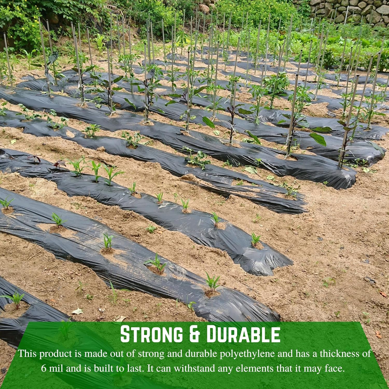 Farm Plastic Supply - Weed Control 6 Mil Black Plastic Sheeting - Heavy Duty Weed Barrier Landscape Fabric for Outdoor Gardens, Non Woven Weed Blocker Fabric, Weed Control (40' x 200')