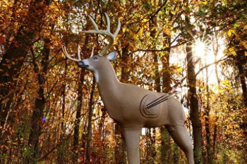 Shooter Buck 3D Deer Archery Target