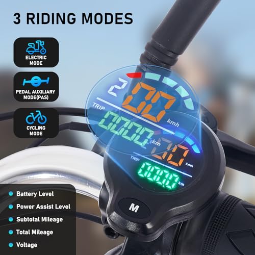 Electric Tricycle for Adults Foldable, 350W(Peak 500W) Folding Electric Trike, 3 Wheel Bikes for Adults with 480Wh Removable Battery, Trike Ebike with 2 Seats and Large Basket for Seniors Women