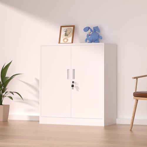Metal Storage Cabinet with Locking Doors and 2 Adjustable Shelves, Small Lockable Storage Cabinet for Home Office Garage (Black)